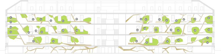 Layout of the various learning areas