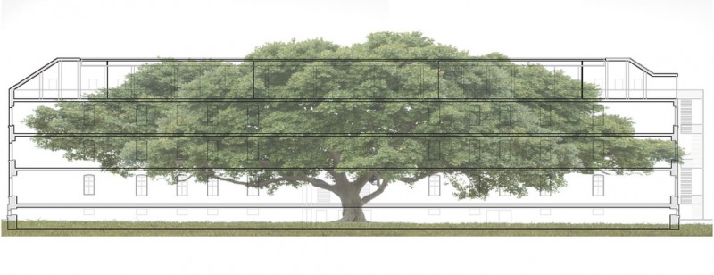 Metapher of a school in a tree