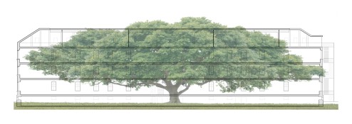 Baumwelten | Metapher of a school in a tree